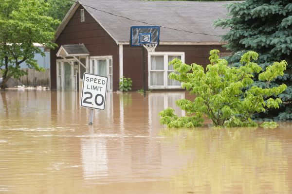 Cost of Storm Restoration Service in Estero