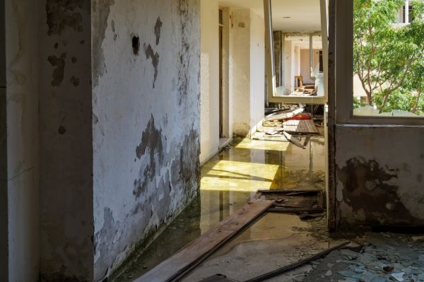 Cost of Water Removal Service in Estero