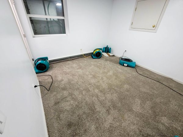 Flood Restoration Service in Estero