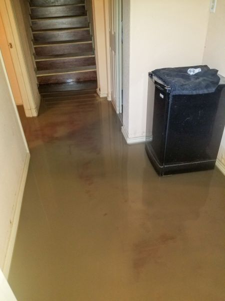 Cost of Emergency Water Removal in Estero