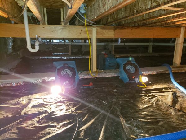 Cost of Crawlspace Water Removal in Estero