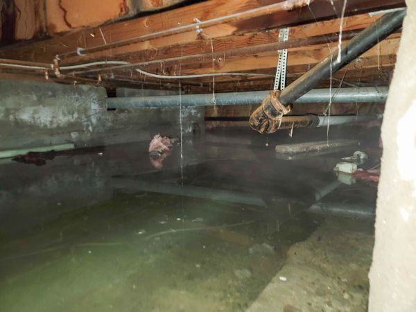 Cost of Crawlspace Water Restoration in Estero